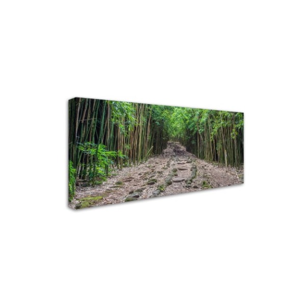 Pierre Leclerc 'Maui Bamboo Forest' Canvas Art,24x47